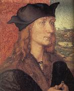 Albrecht Durer Hans Tucher oil painting on canvas